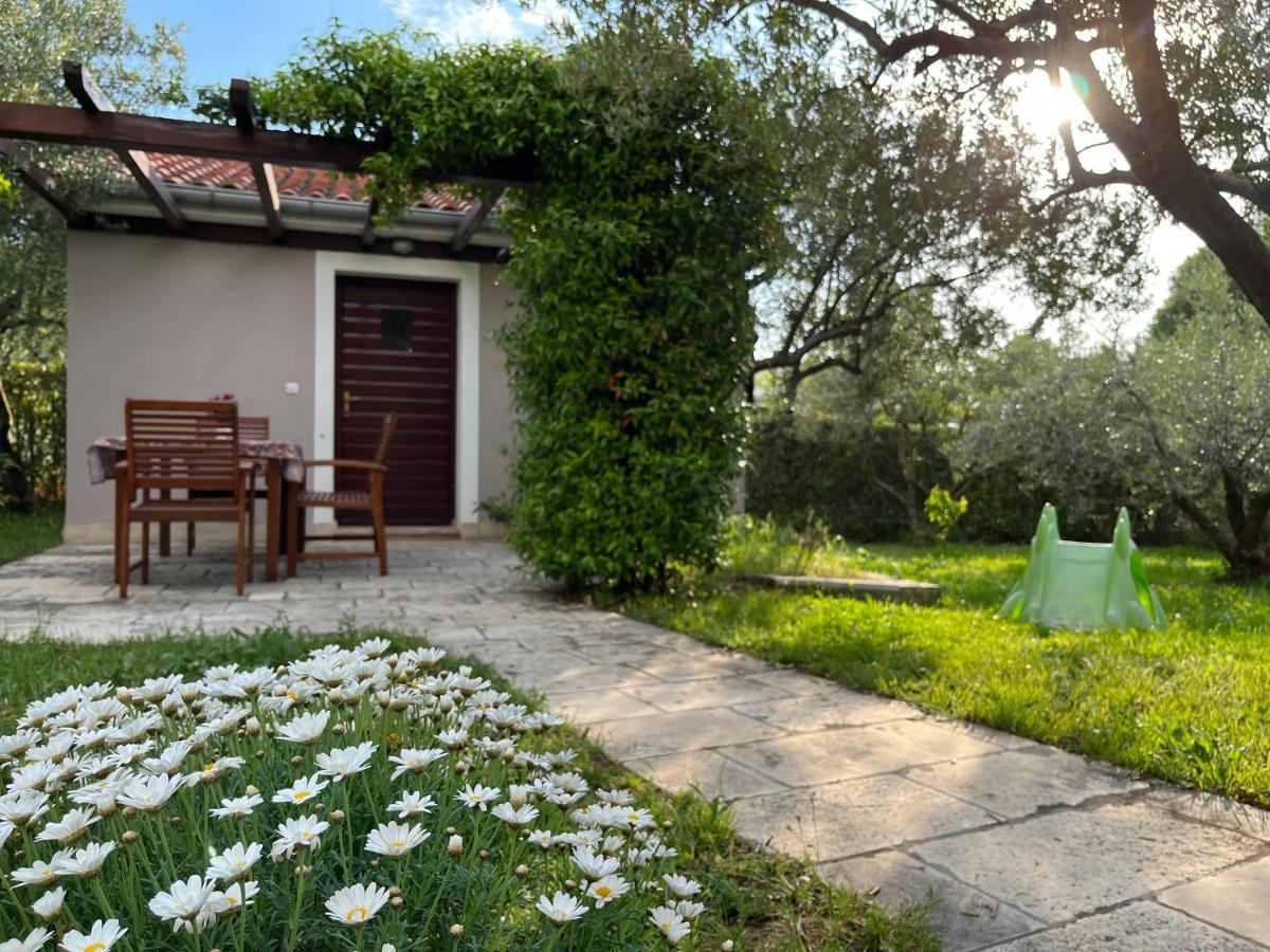 Apartment Lina Ζαντάρ Εξωτερικό φωτογραφία